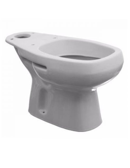 Inodoro Largo Roca Mónaco