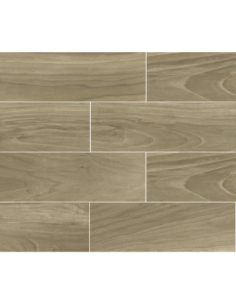 Piso CF Idealle Dayton Classic HD 20X60cm 1ra. Calidad